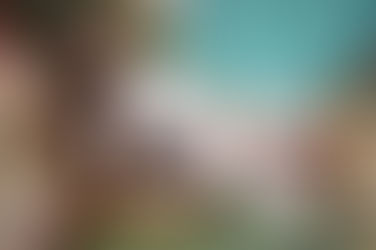 APRIL - שמלות פרום שמזמינות "וואו"...