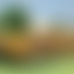 The Camel Shelter – A Fusion of Nature, Innovation & Sustainability