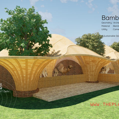 The Camel Shelter – A Fusion of Nature, Innovation & Sustainability