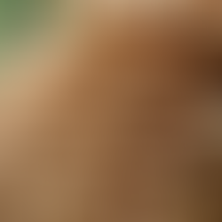 Eco-Friendly Construction Materials You Should Know: A Guide to Green Building Materials