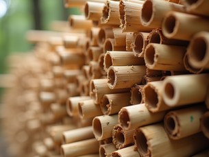 Eco-Friendly Construction Materials You Should Know: A Guide to Green Building Materials