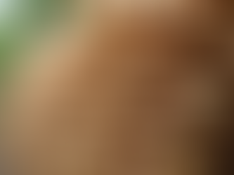 Eco-Friendly Construction Materials You Should Know: A Guide to Green Building Materials