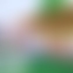 Green Gazebo : Bamboo Gazebo