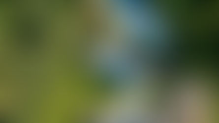 SHOREWOOD POOL AND CABANA ANNOUNCED AS WINNER OF ARCHI AWARDS!