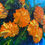 縮圖：Marigolds Palette Knife Workshop