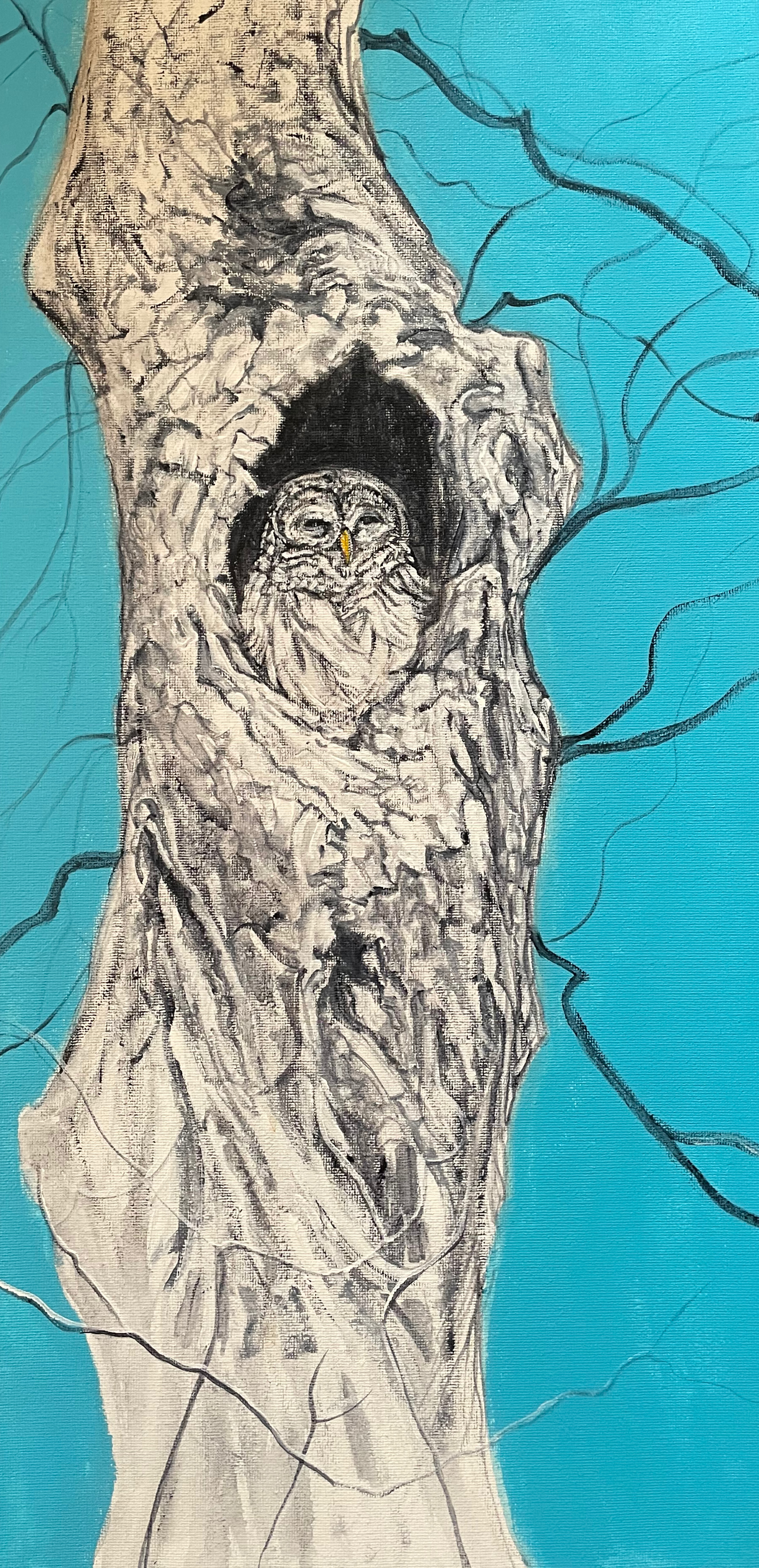 Didoha Judy RC Owl #1 Acrylic