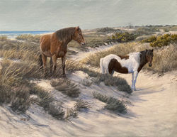 Walsh, WIlliam-WIld Horses 2