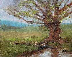 Hopkins, Laura-Creekside Tree, Audley Fa