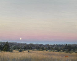Walsh, William-Belt of Venus