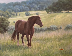 Walsh, William-Dark Horse