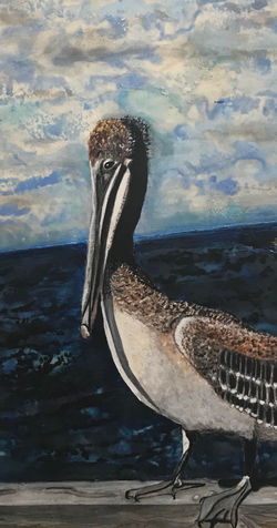 Steinhilper, Maggie-My Sister's Pelican.