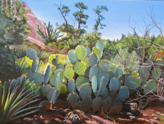Myles, Steve-Sunlit Cactus at Sedona Vor