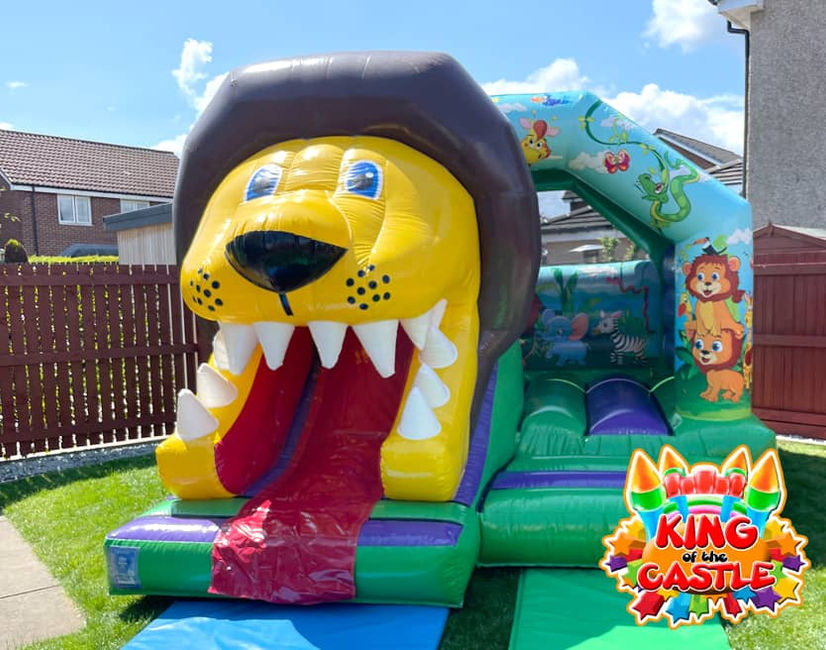 3D Lion Bouncy Castle with Slide. Available for parties, events snd school fun days throughout Fife: Dunfermline, Kirkcaldy and Glenrothes, plus Larbert, Kinross and Tullibody