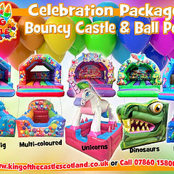 Bouncy Castle & Ball Pond Package