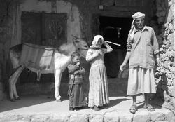 yemen 05 04_0636zobn.jpg