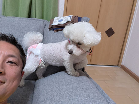 バイクカップル+ワンちゃん