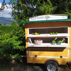 Farm Stand