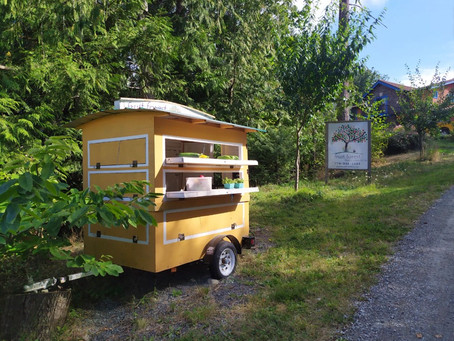 Fresh on the farm stand this week