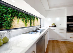 Close-up of a modern kitchen with a double sink, stone benchtop, and an extended window splashback featuring vibrant hanging greenery, blending indoor and outdoor elements.