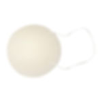 éponge konjac vu de haut