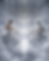KOSS Event Posters-10.png