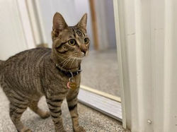 271867186_616408632789034_2558855546649560627_n