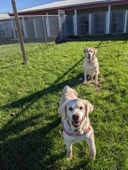 245603913_912868422947221_1718962028548136983_n