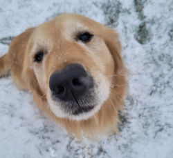 264088353_7016654441707876_4256719850025980495_n