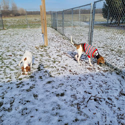 264271472_7016658645040789_8877246150227807395_n