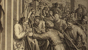 פרשת קרח - נועה גיבסון