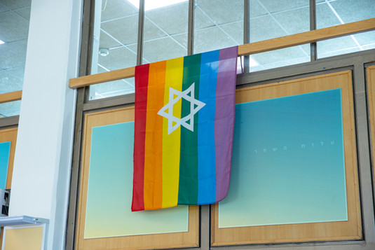 דגל גאווה.jpg