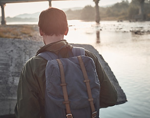 Traveler