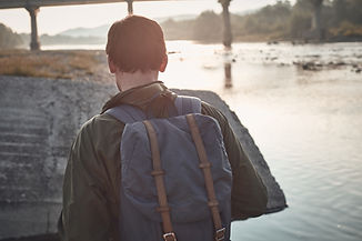 Traveler