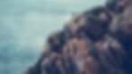 ROCKS ON COAST