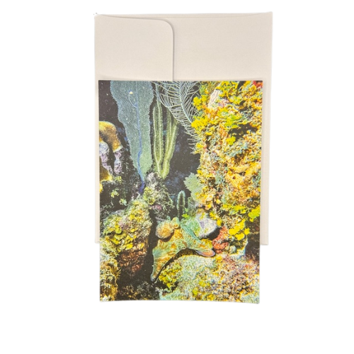 Thumbnail: Greeting Cards with Envelopes