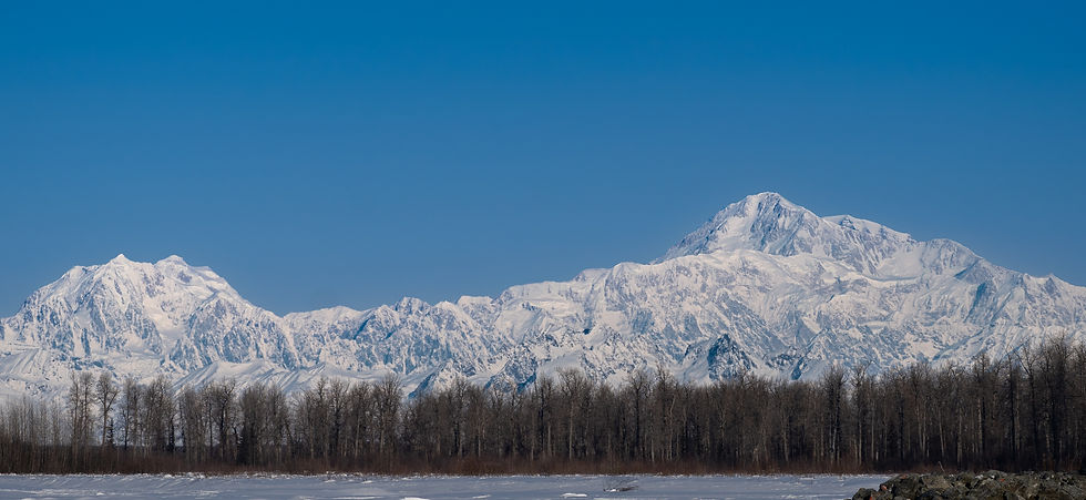 MAJESTIC ONE OF THE NORTH.jpg
