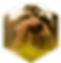 health.png