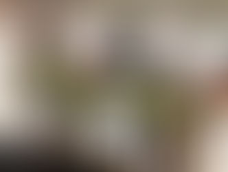 スイスイスケート⛸