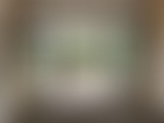 Indoor–Outdoor Living Done Right