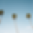Palm Trees_edited_edited.png