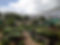 ansa nursery1.JPG