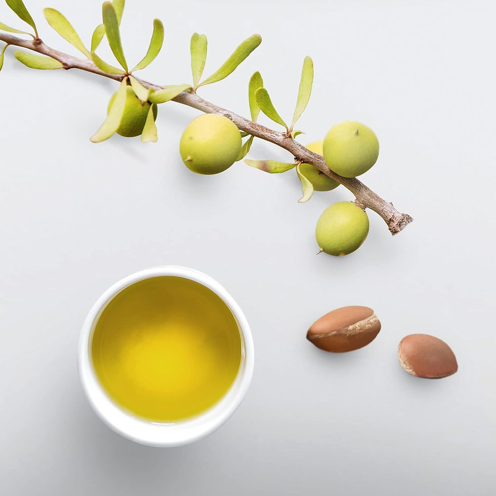 Miniatura: ECO Styler Gel Modellante Olio di Oliva 2.36 LT (Styling prodotti; Gel