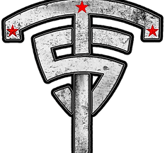 Logo TS solo.png