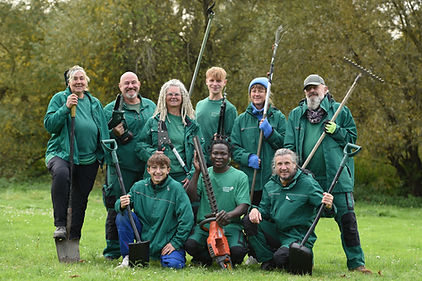 Corylus Colurma Teamfoto