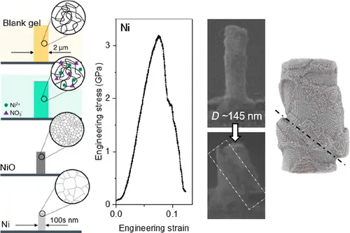 Fortschritt im Mikrokosmos: 3D-gedruckte Nickel-Nanopfeiler ermöglichen robuste Nanostrukturen für vielfältige Anwendungen. 