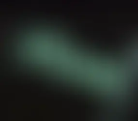 Elon Musk may bring back Vine