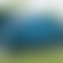 Amazon's rescue into the green future