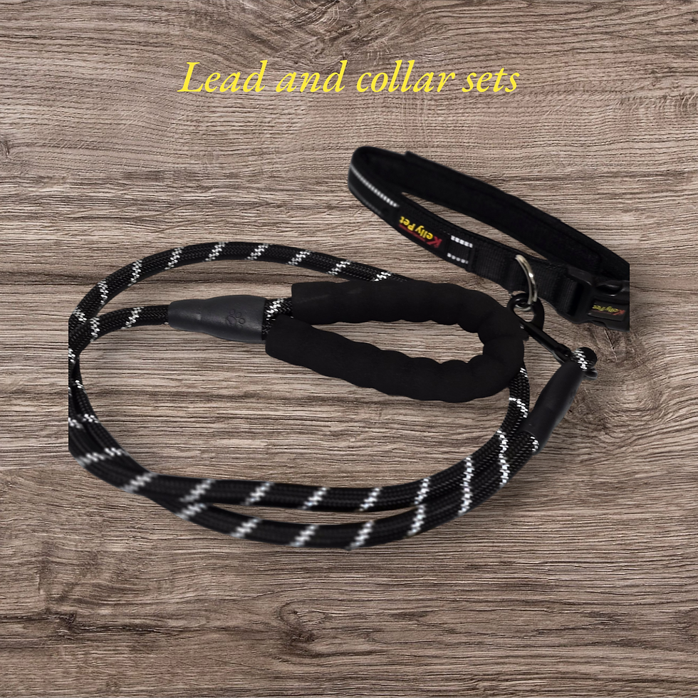 Thumbnail: Lead and collar sets