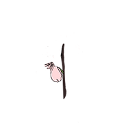 벚꽃1.png