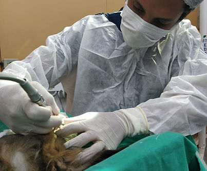 WhatsApp Image 2023-09-14 at 18.25.57.jpeg